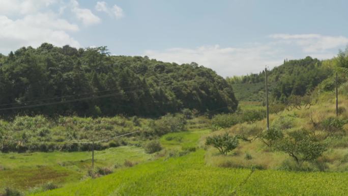 福建古田航拍10