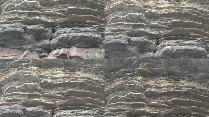 石英砂质岩