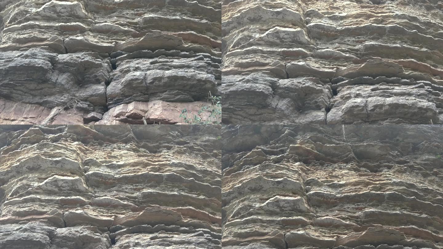 石英砂质岩
