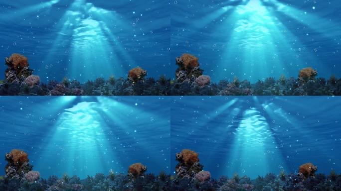 海底生物水下光线