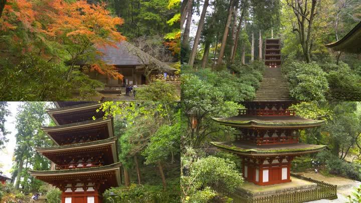 奈良室生寺的红叶 19x1080 高清视频素材下载 编号 实拍视频 Vj师网www Vjshi Com