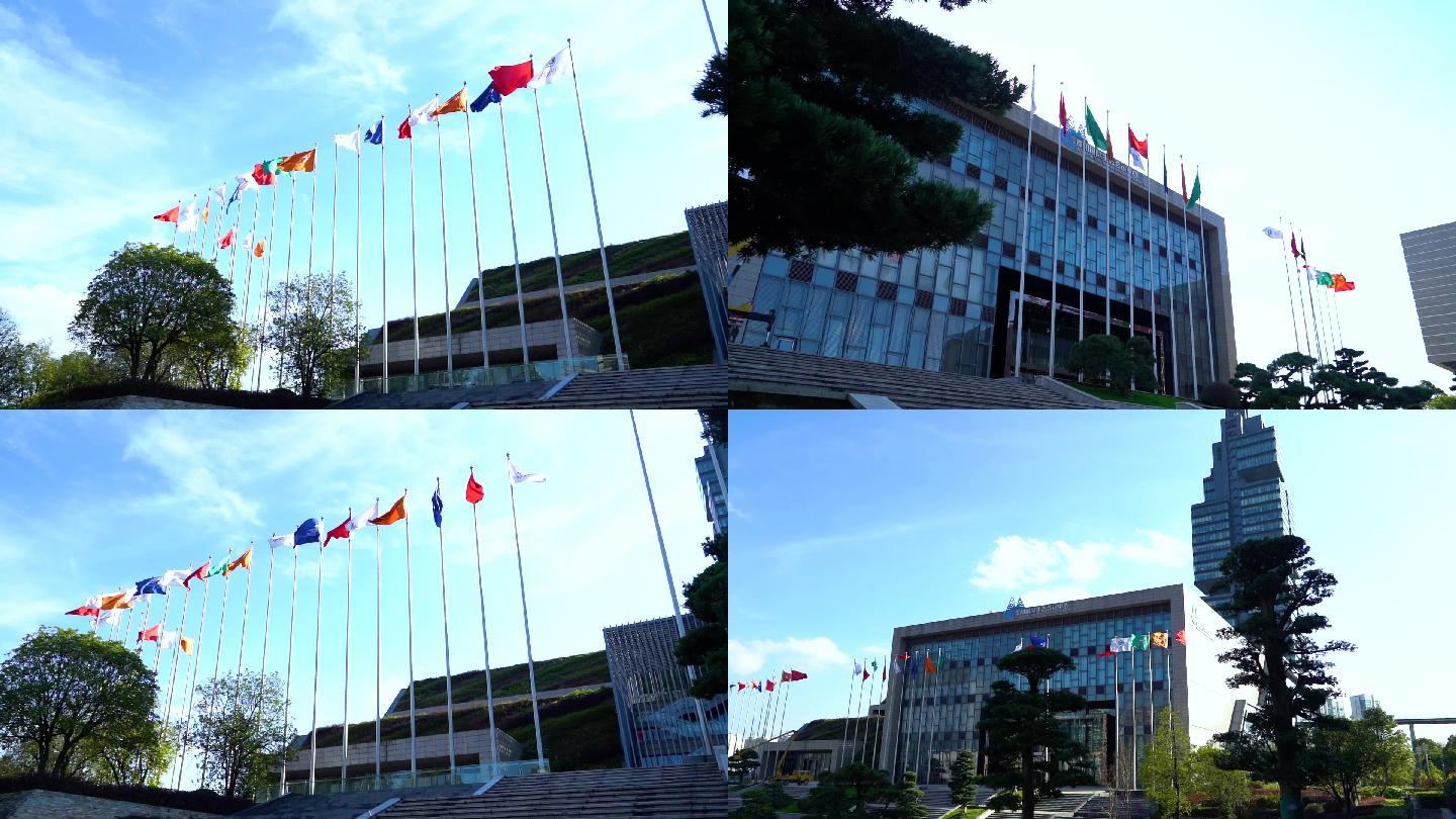 各国国旗会议中心政务大楼国旗飘扬