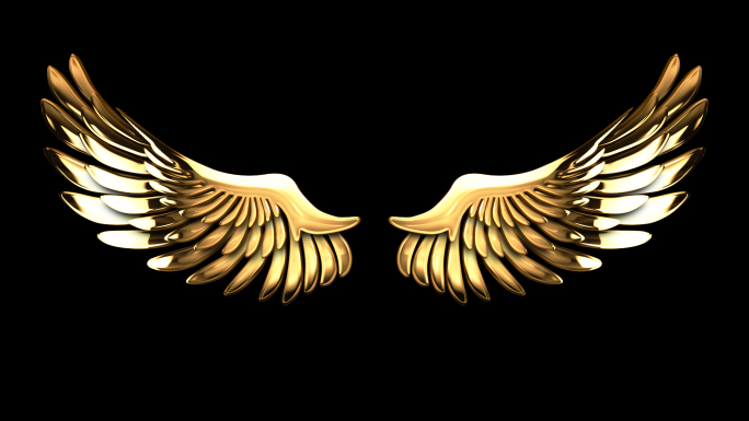 金色翅膀无缝循环播放带透明通道