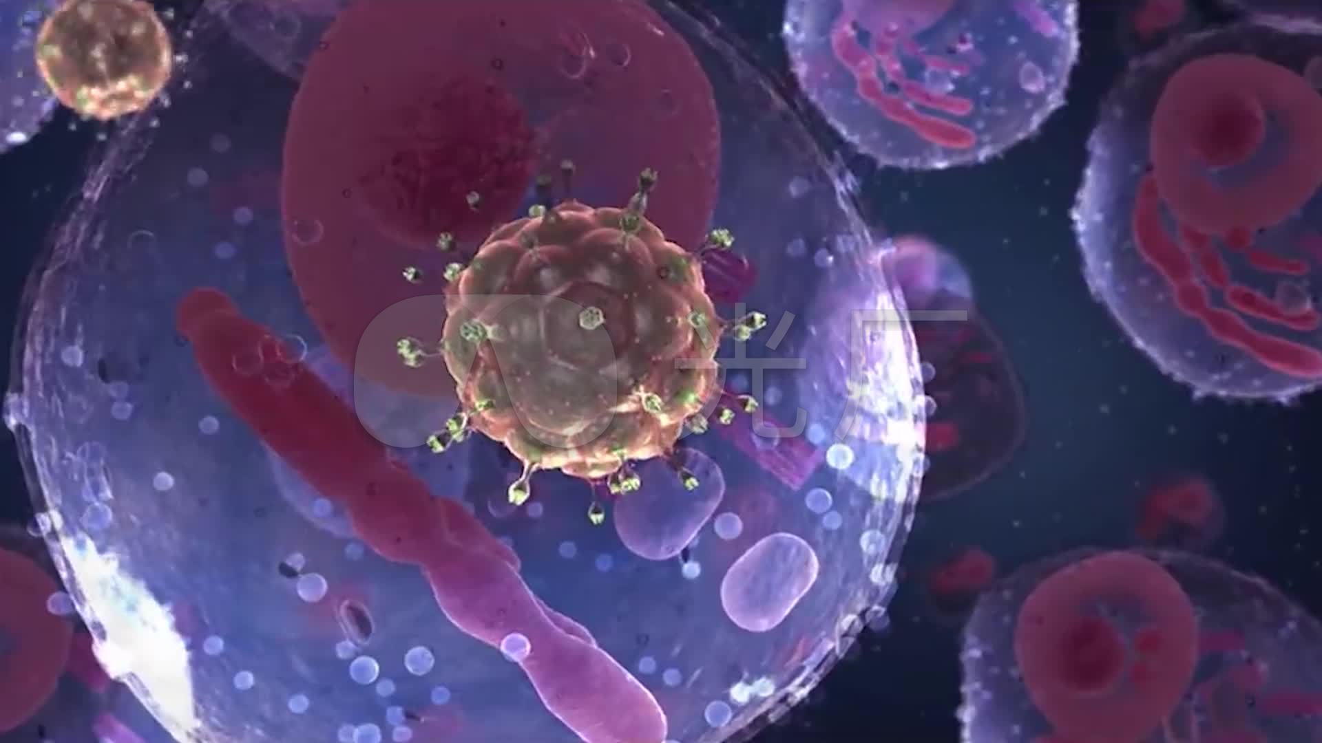 HIV 病毒如何导致人患病的？