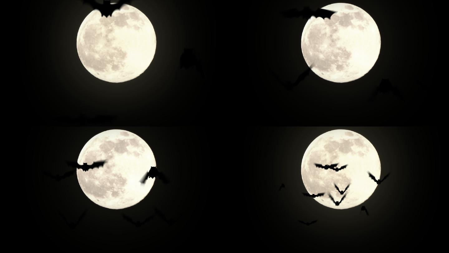 综艺素材恐怖气氛月亮蝙蝠