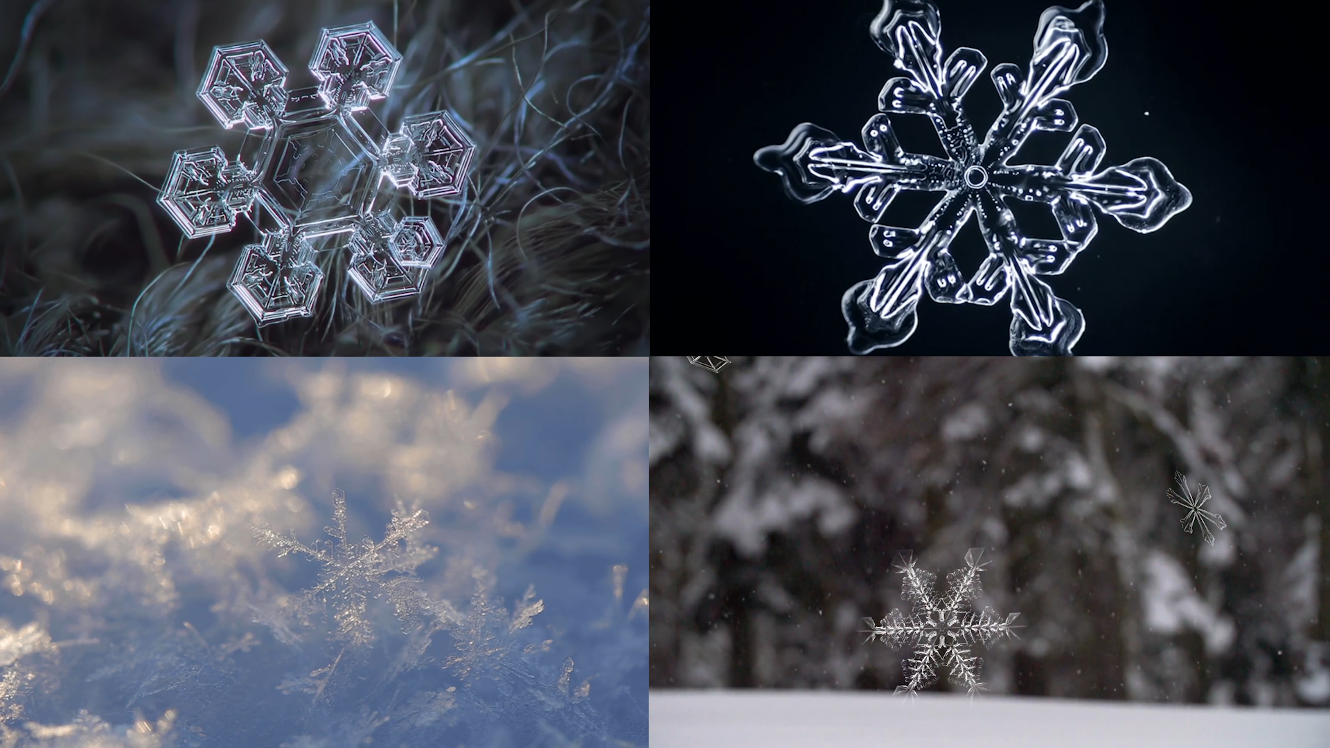 雪晶 19x1080 高清视频素材下载 编号 实拍视频 Vj师网www Vjshi Com