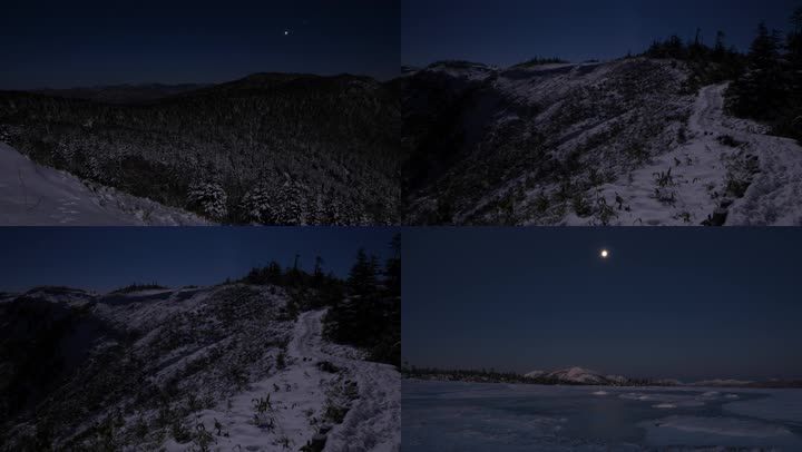 森林雪景雪景大地雪景旷野积雪野外积雪雪地夜空雪地天空雪地夜晚雪地