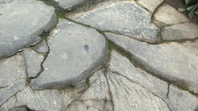 基诺山寨的石头路