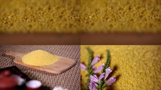 食品食材美食小米粗粮粮食养生