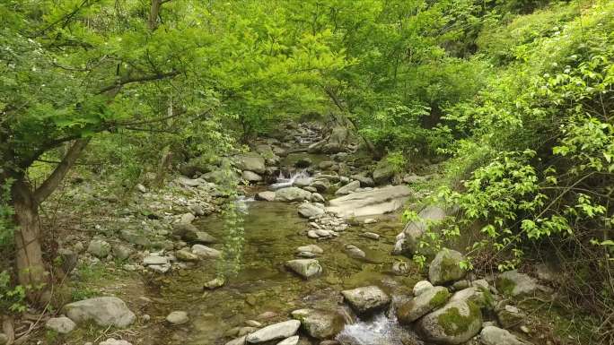 秦岭山涧溪流