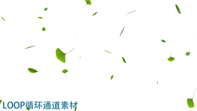 【LOOP循环】绿叶落叶通道素材