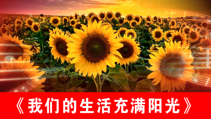 我们的生活充满阳光-（声画同步）