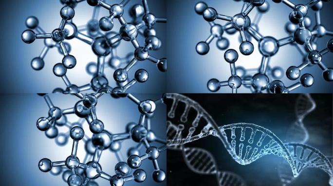 分子结构活性肽