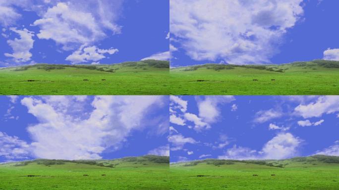 著名陕西关山草原上的天空合成特效