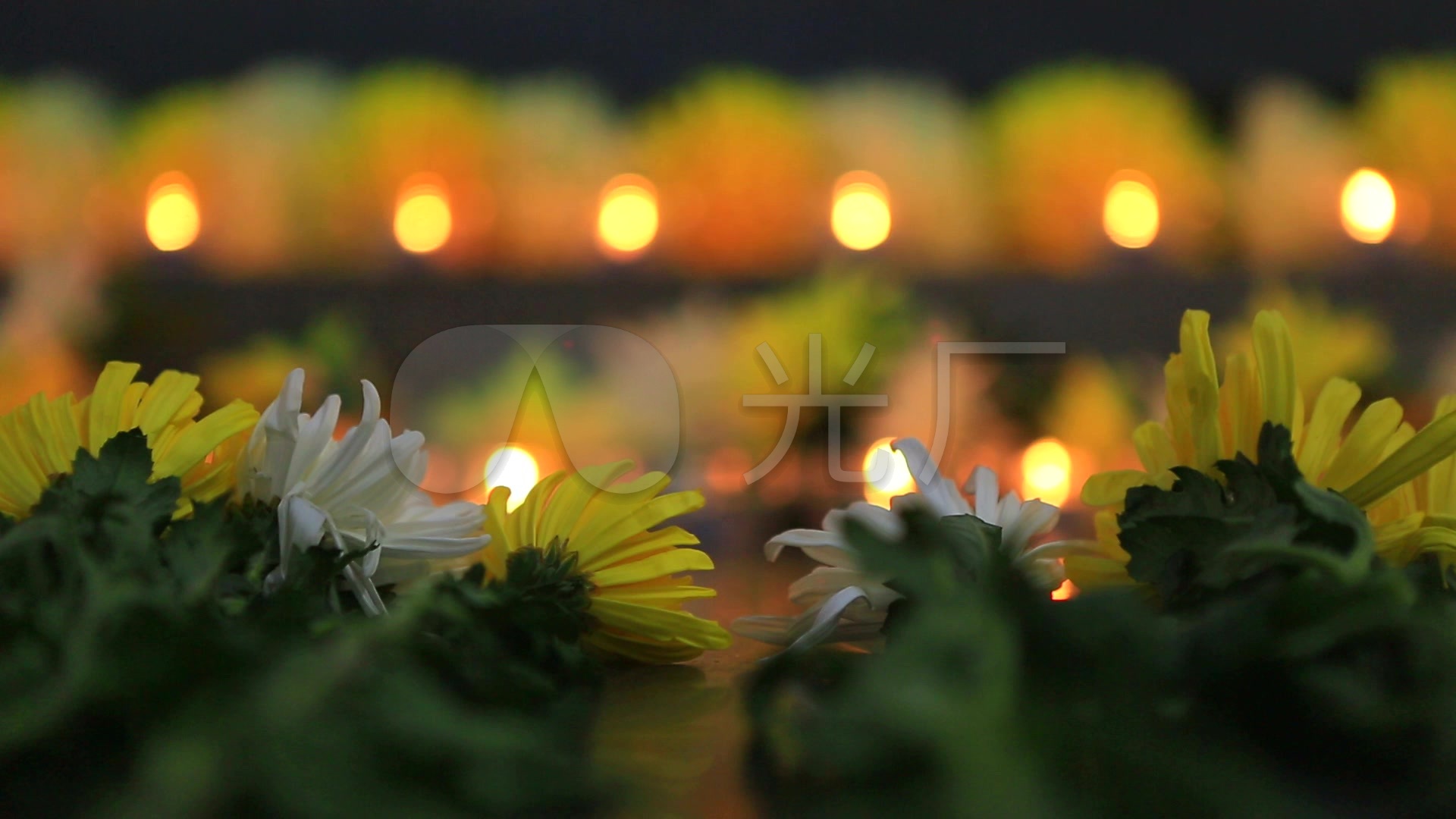 蜡烛菊花背景、祭奠、沉痛悼念、缅怀_1920X1080_高清视频素材下载(编号:3139586)_实拍视频_光厂(VJ师网) www ...