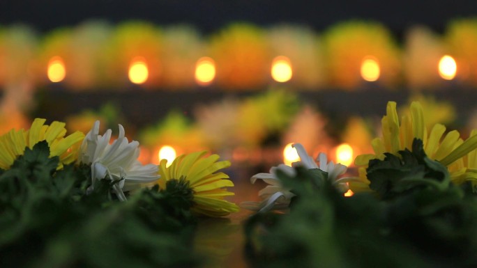 蜡烛菊花背景、祭奠、沉痛悼念、缅怀