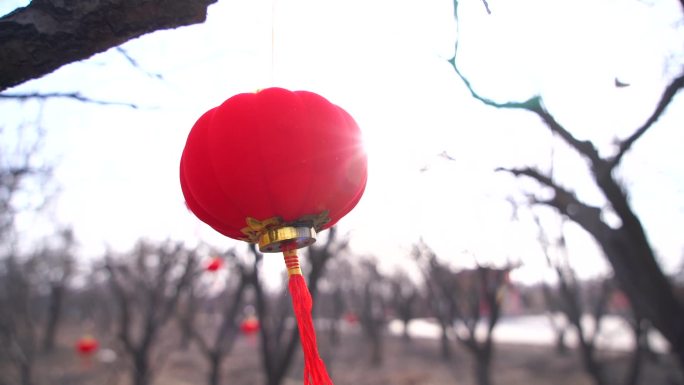 冬季节日红灯笼实拍素材