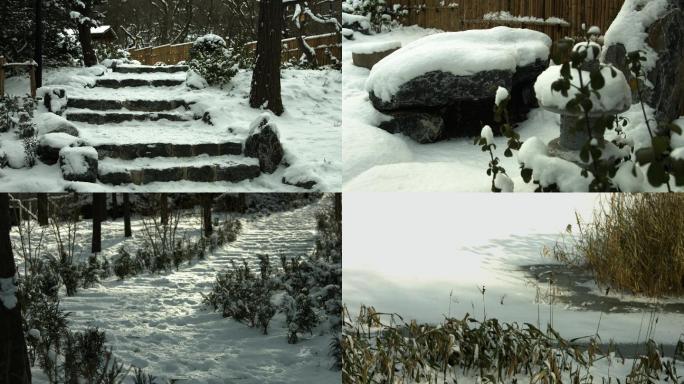 植物园冬季雪景