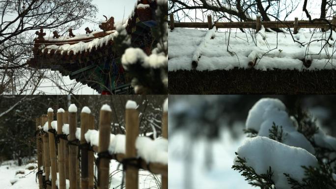 植物园冬季雪景