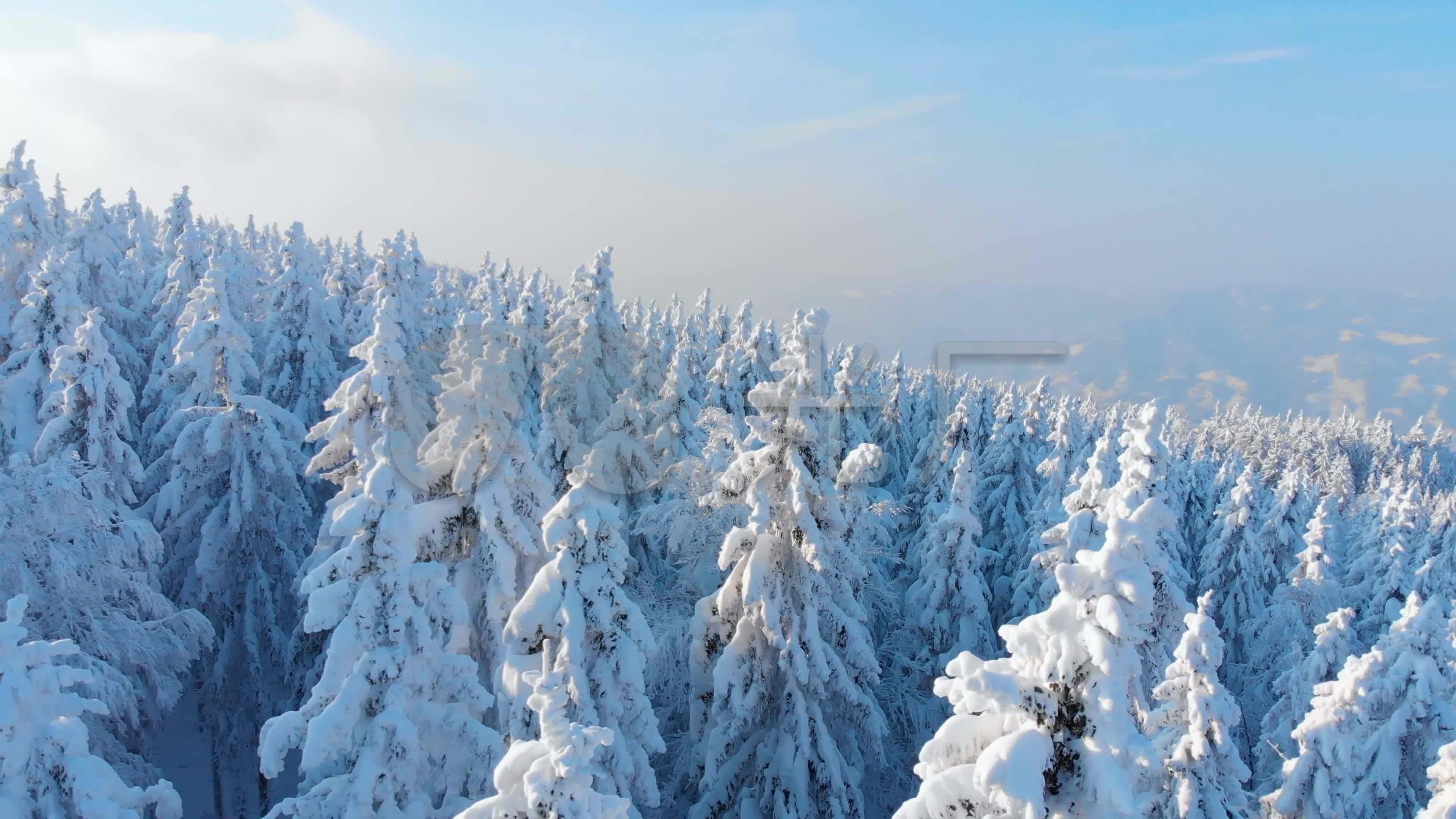 航拍雪林冬季雪原树挂雪_3840x2160_高清视频素材下载(编号:3141757)_