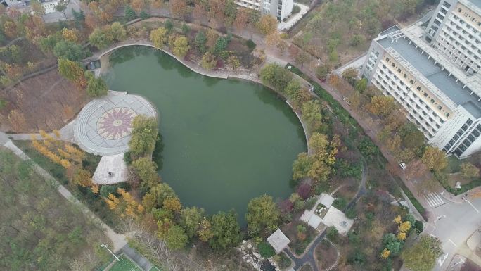 山东艺术学院湖泊大景旋转航拍