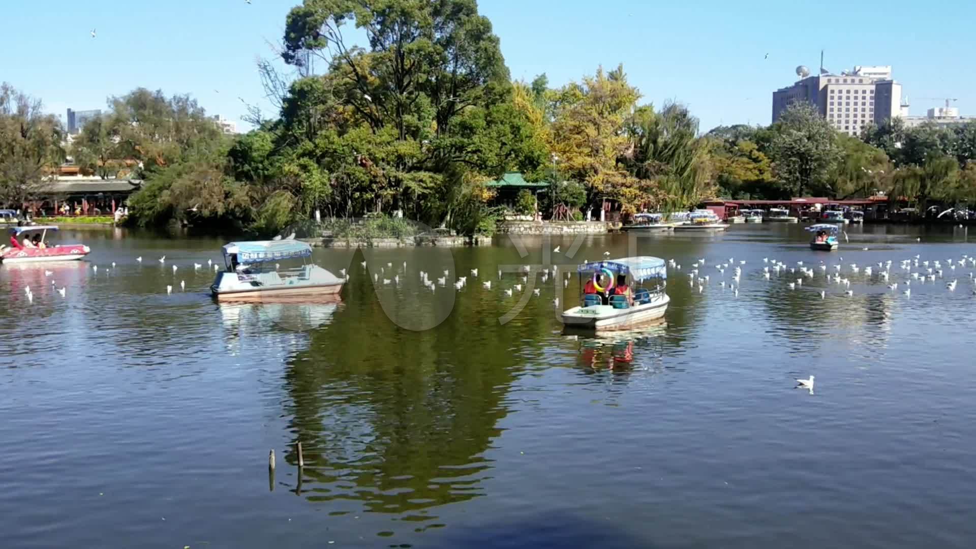 昆明翠湖公园_3840X2160_高清视频素材下载(编号:7703012)_实拍视频_光厂(VJ师网) www.vjshi.com