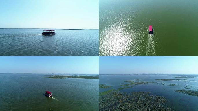 湖北洪湖旅游花海