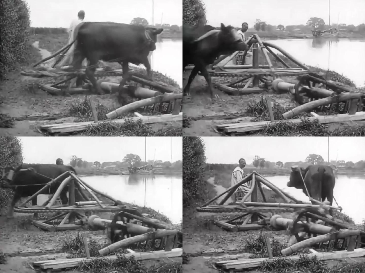 晚清农民浇水用的耕牛水车