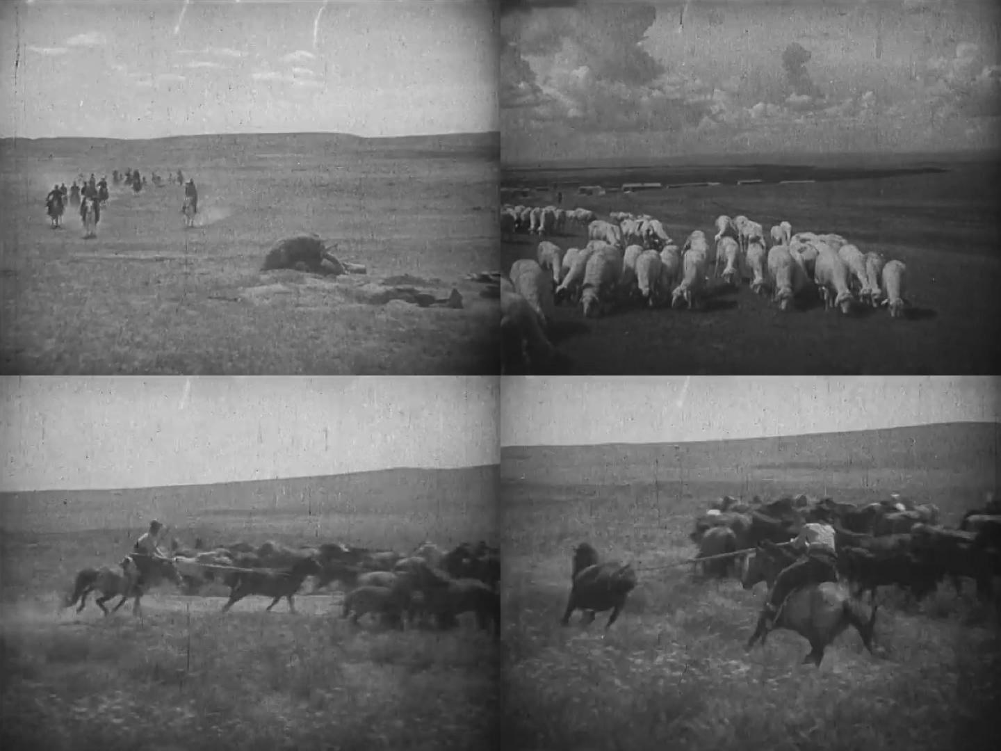 清朝-内蒙草原的牧马生活