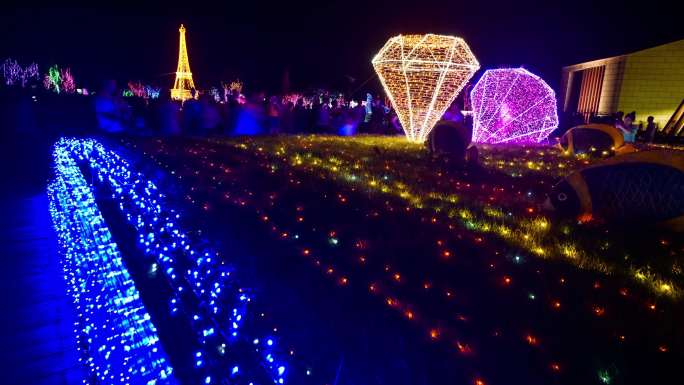 灯会灯光表演锦州世博园世界园艺博览