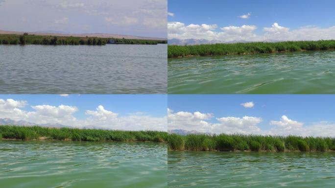 中国江河湖泊芦苇丛湿地自然风景