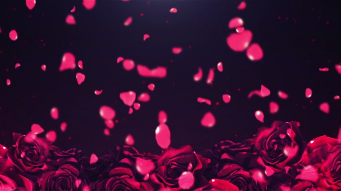 宽屏唯美浪漫红色玫瑰花瓣飘落舞台歌曲视频