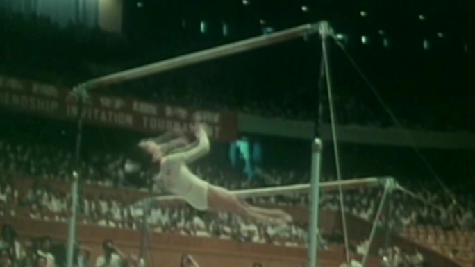 1979年第20届世纪体操锦标赛