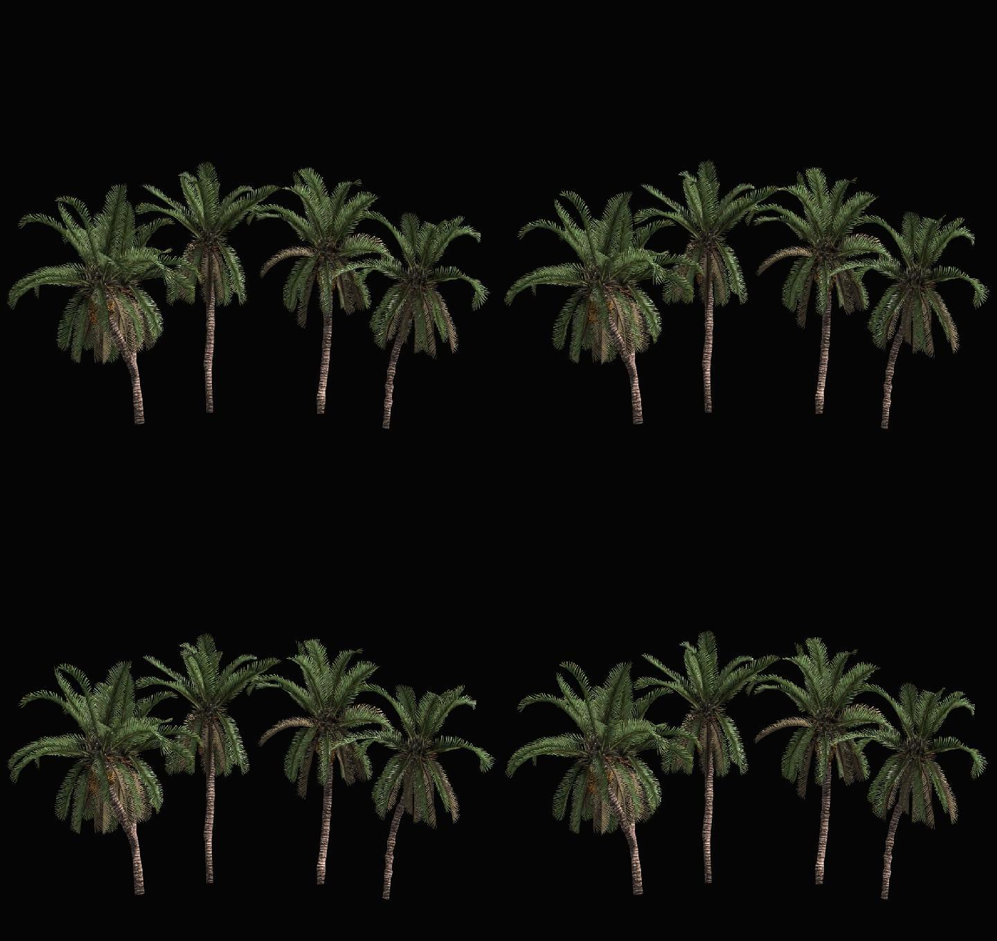 树木摇曳动画带通道——棕榈树群