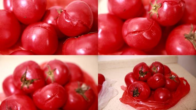 食品食材美食西红柿樱桃番茄迷你