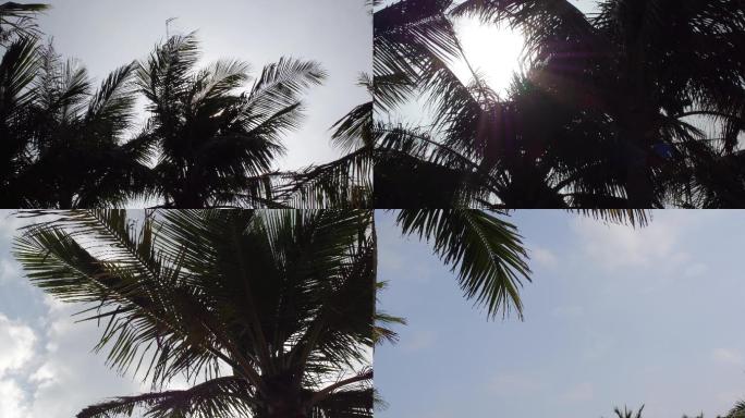 4K原创-海南风光椰树阳光穿过椰树