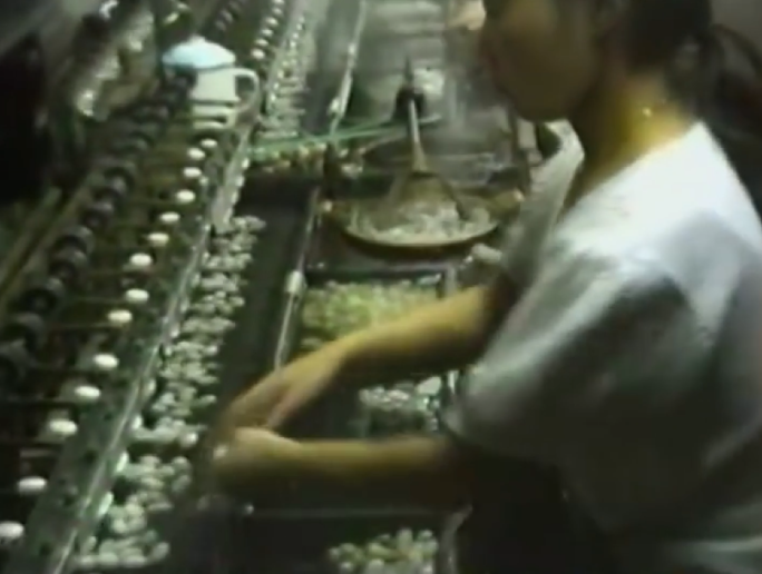 80年代改革开放-蚕丝加工厂
