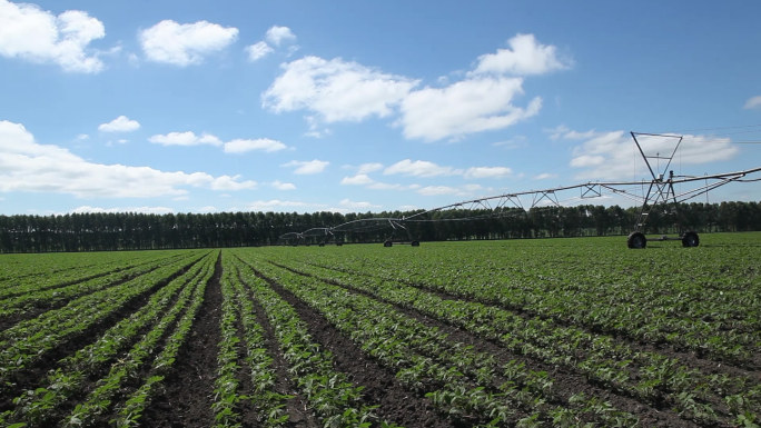 现代农业生产机械化播种施肥喷洒农药北大荒
