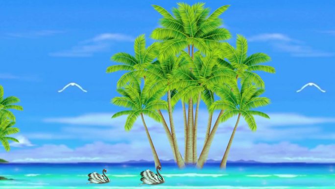 椰树大海风景视频