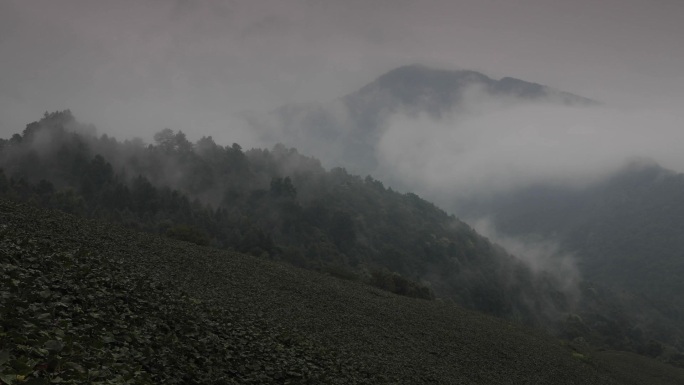 湘西山区--云雾延时
