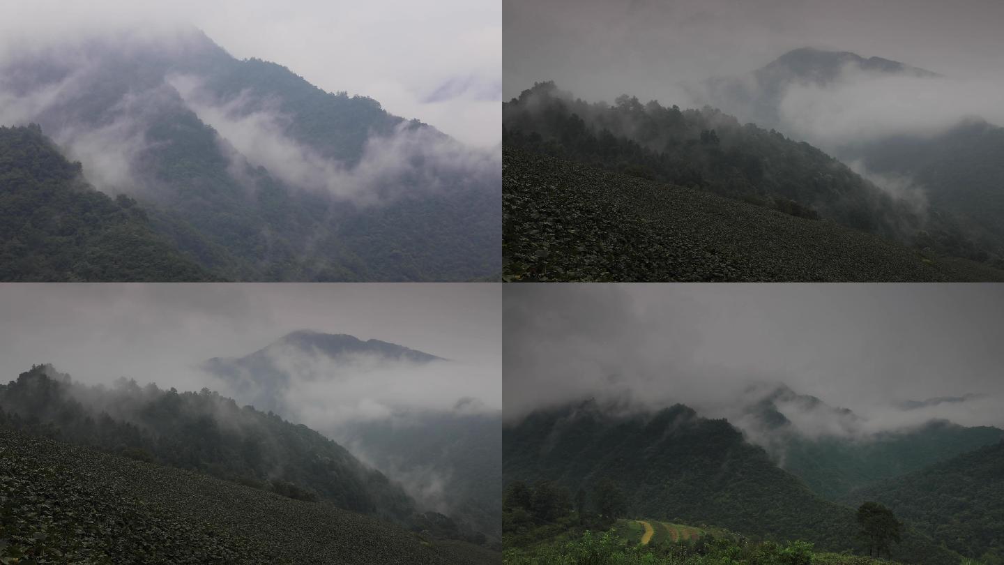 湘西山区--云雾延时