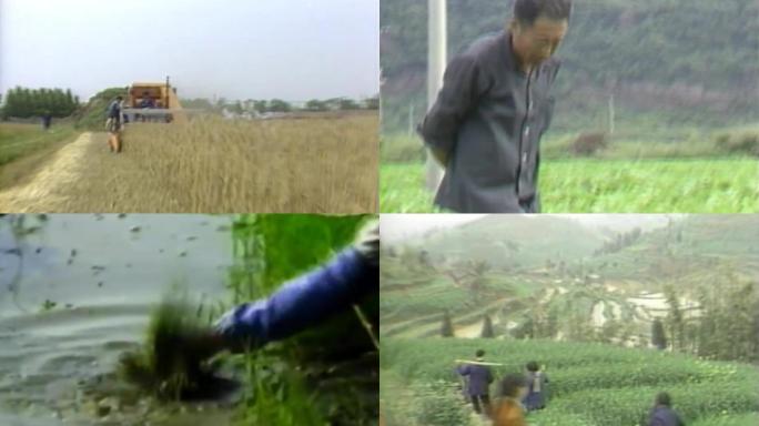 80年代农业生产