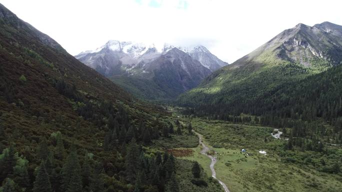 树林雪山素材风景航拍