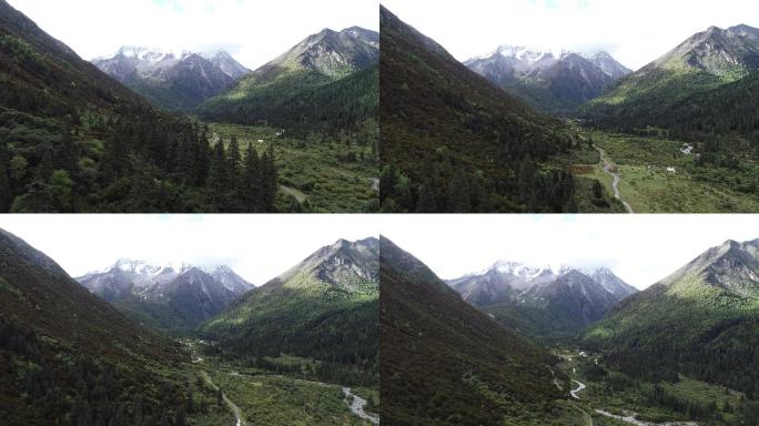 树林雪山素材风景航拍