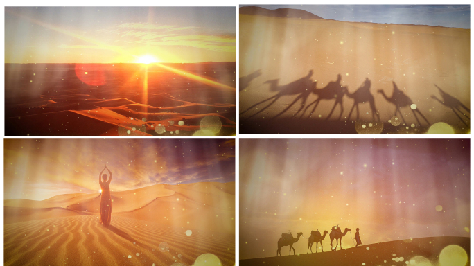 沙漠骆驼-歌曲舞台背景