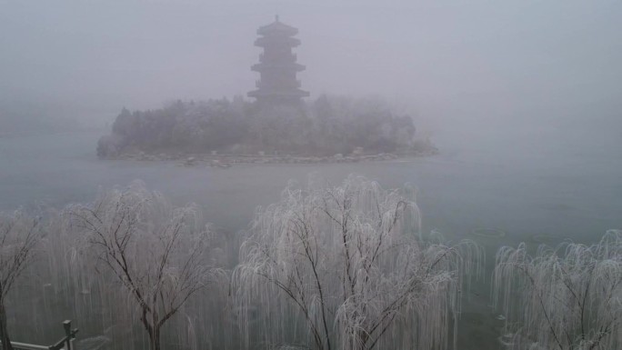 山西运城现雾凇美景