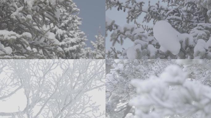 雪乡雪景大美龙江树挂雪
