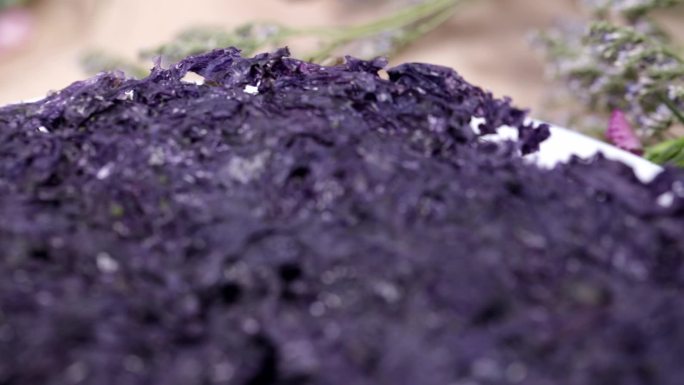 紫菜碘海带海藻水产海货河鲜