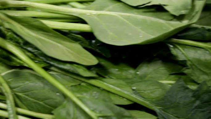 食品食材美食蔬菜菠菜补铁绿色