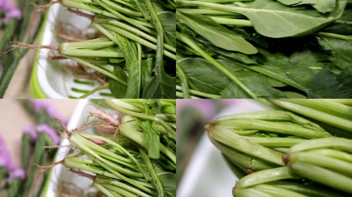 食品食材美食蔬菜菠菜补铁绿色